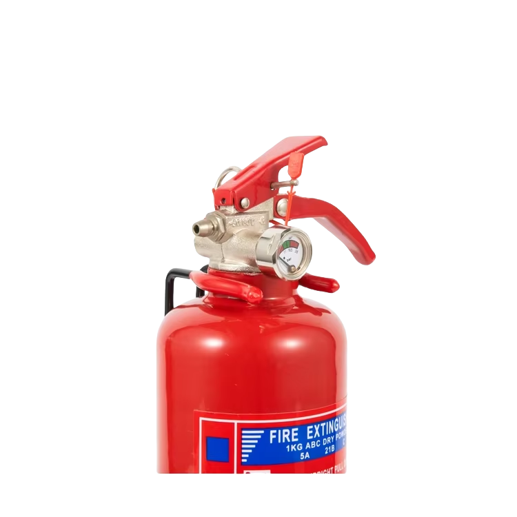 DCP fire extinguisher
