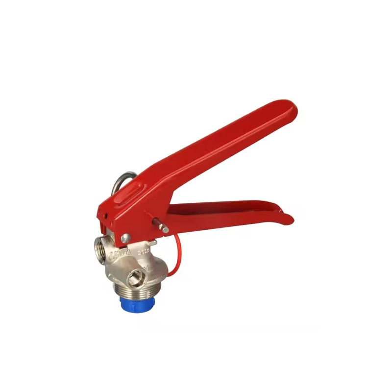 Fire Extinguisher Valve